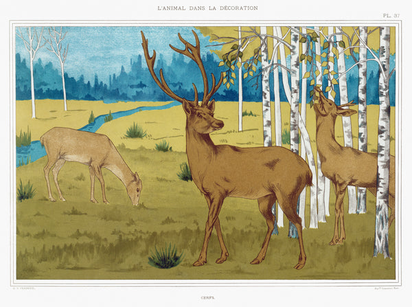 Cerfs from L'animal dans la décoration (1897) illustrated by Maurice Pillard Verneuil