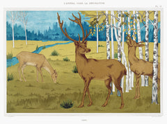 Cerfs from L'animal dans la décoration (1897) illustrated by Maurice Pillard Verneuil