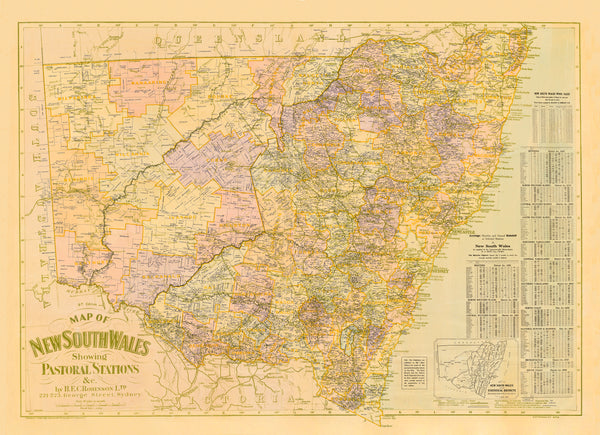 Vintage map of New South Wales showing pastoral stations on a yellowed paper background.