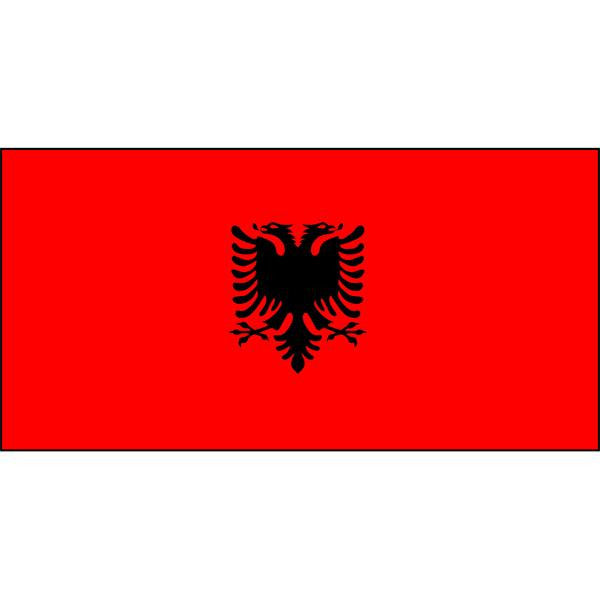 International Flags