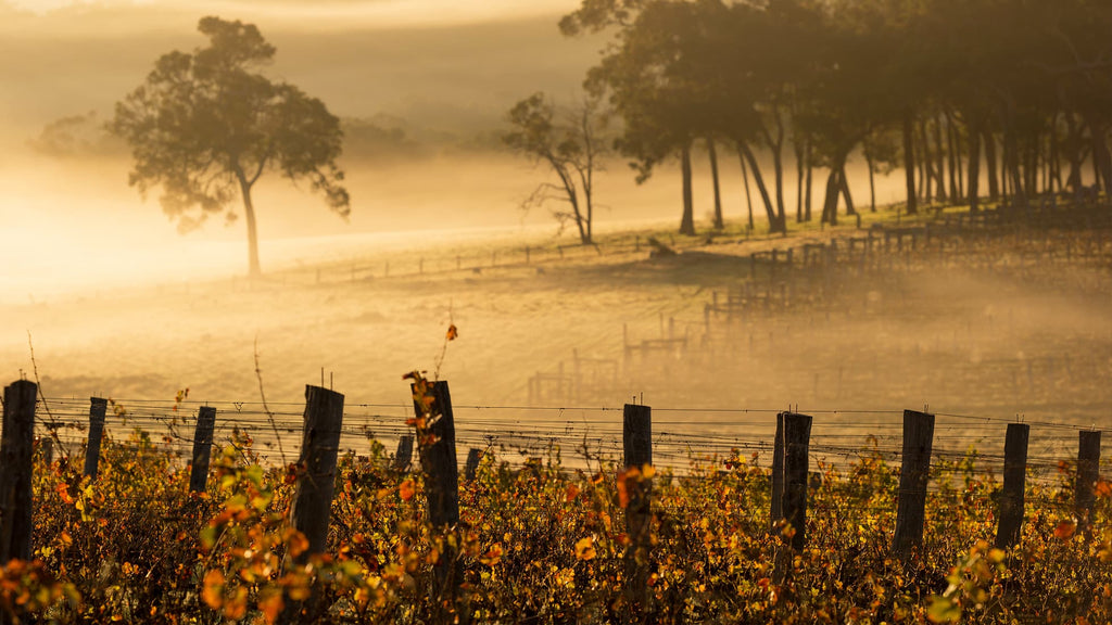 Top 10 Things to Do in Margaret River in 2026