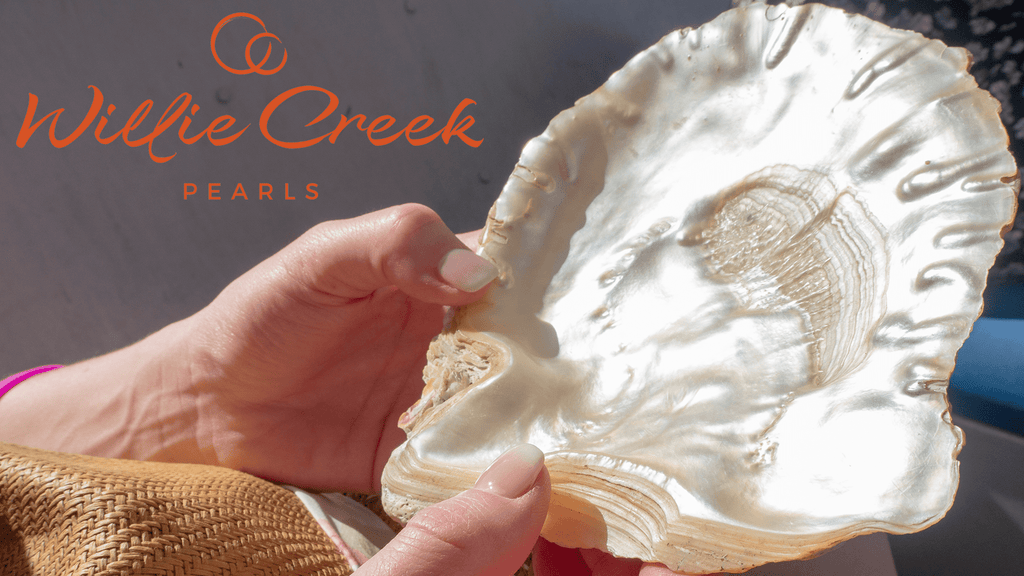 Willie Creek Pearl Farm Tour Review