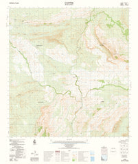 2552-3 Coppin 1:50k Topographic Map