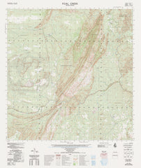 4463-3 Foal Creek 1:50k Topographic Map