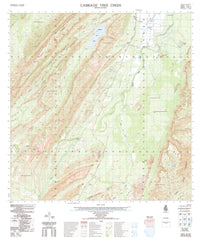 4565-1 Cabbage Tree Creek 1:50k Topographic Map | Mapworld