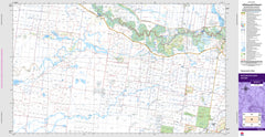 Darlington Point 8028-N Topographic Map 1:50k