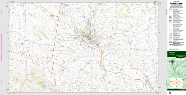 Binalong 8628-4S Topographic Map 1:25k
