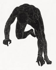 Anatomical study of a man's neck, arm and leg muscles (1906–1945) by Reijer Stolk