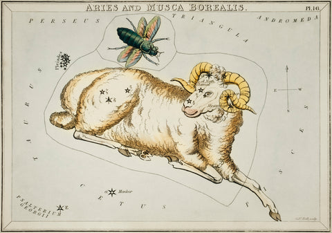 Astronomical chart illustration of the Aries and Musca Borealis Zodiac (1831) by Sidney Hall