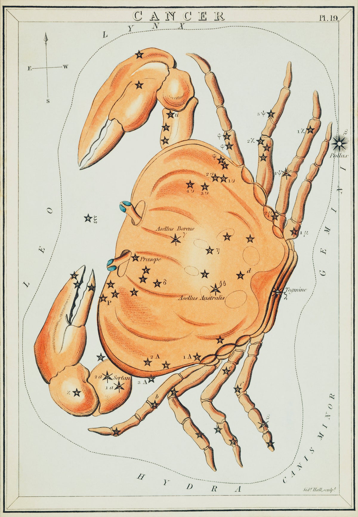 Astronomical chart illustration of the Cancer | Mapworld