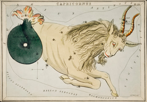 Astronomical chart illustration of the Capricornus Zodiac (1831) by Sidney Hall