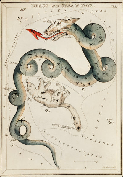 Astronomical chart illustration of the Draco and the Ursa Minor Zodiac (1831) by Sidney Hall