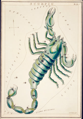 Astronomical chart illustration of the Scorpio Zodiac (1831) by Sidney Hall