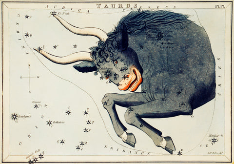 Astronomical chart illustration of the Taurus Zodiac (1831) by Sidney Hall