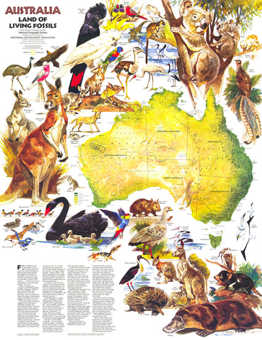 Map of Australia with illustrations of various animals on a white background