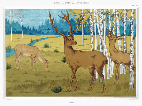 Cerfs from L'animal dans la décoration (1897) illustrated by Maurice Pillard Verneuil