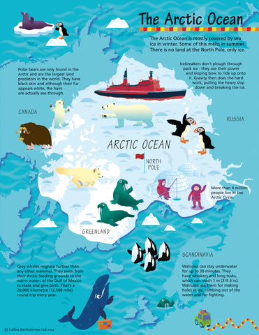 Children's Arctic Wall Map by Collins 570 x 738mm