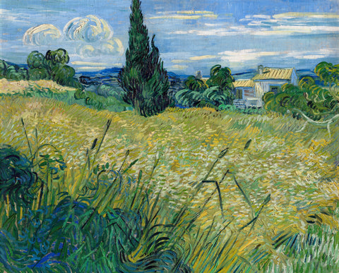 Green Wheat Field with Cypress (1889) by Vincent Van Gogh