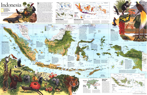 Indonesia Theme - Published 1996 wall map – National Geographic | Mapworld