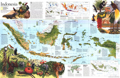 Indonesia Theme - Published 1996 wall map – National Geographic | Mapworld