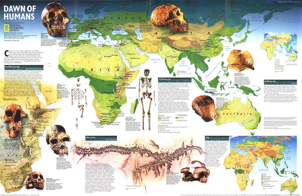Dawn of Humans - Published 1997 wall map – National Geographic | Mapworld