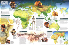 Dawn of Humans - Published 1997 wall map – National Geographic | Mapworld