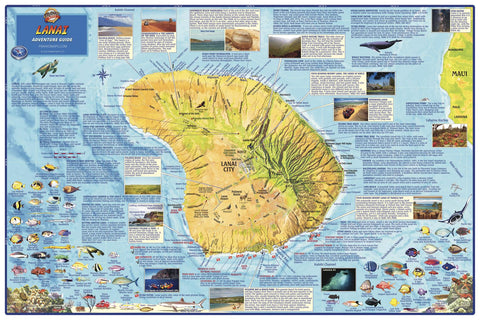 Hawaii Lanai Wall Map by Franko | Mapworld
