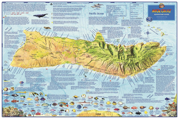 Hawaii Molokai Wall Map by Franko — wall map