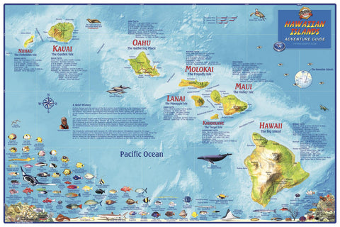 Hawaiian Islands Wall Map by Franko — wall map