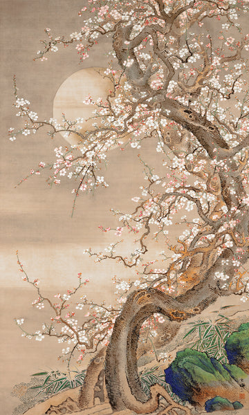 Japanese plum blossoms in moonlight (18th century) vintage ink and color on silk by Sō Shizan