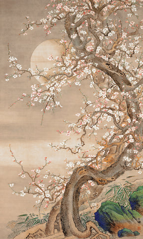 Japanese plum blossoms in moonlight (18th century) vintage ink and color on silk by Sō Shizan