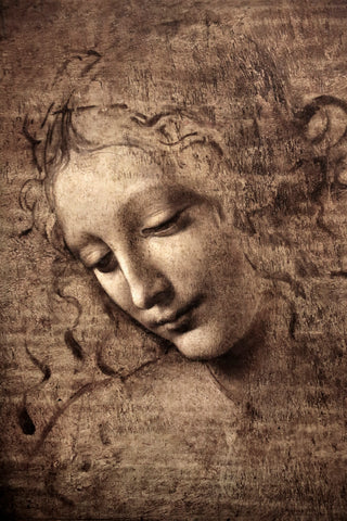 La Scapigliata (circa 1506–1508) by Leonardo da Vinci