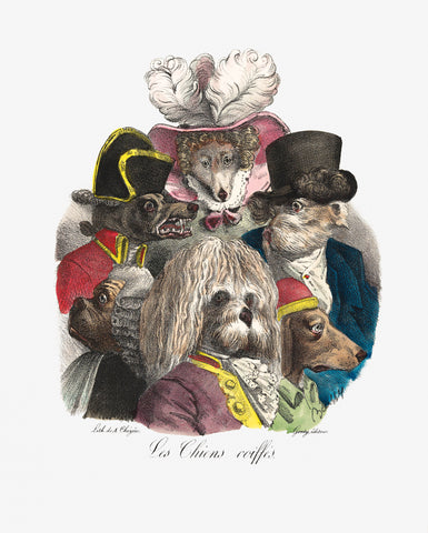 Les Chiens Coiffés (ca. 1825) lithographed by A. Cheyère