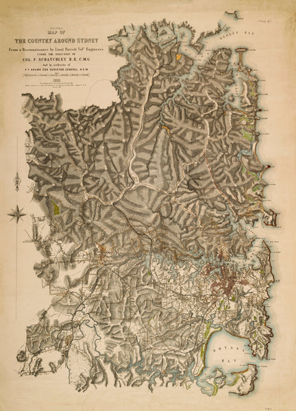 Map of the County of Cumberland, New South Wales (1881) — vintage historical map reproduction