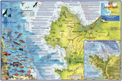 Monterey Bay Wall Map by Franko — wall map