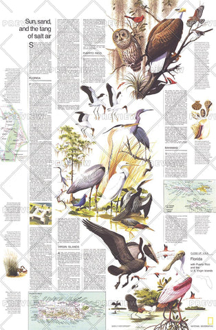 Close-up USA, Florida Theme - Published 1973 wall map – National Geographic | Mapworld