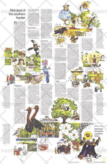 Close-up USA, South Central States Theme - Published 1974 wall map – National Geographic | Mapworld