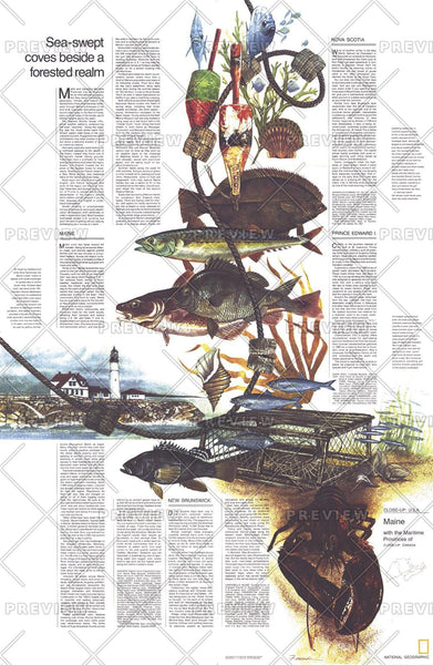 Close-up USA, Maine Theme - Published 1975 by National Geographic — historic National Geographic map print