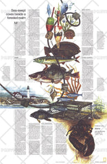 Close-up USA, Maine Theme - Published 1975 by National Geographic — historic National Geographic map print