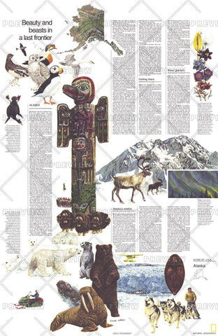Close-up USA, Alaska Theme - Published 1975 by National Geographic — historic National Geographic map print