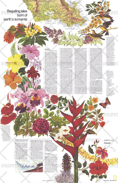Close-up USA, Hawaii Theme - Published 1976 by National Geographic — historic National Geographic map print