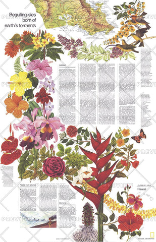 Close-up USA, Hawaii Theme - Published 1976 by National Geographic — historic National Geographic map print