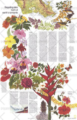 Close-up USA, Hawaii Theme - Published 1976 by National Geographic — historic National Geographic map print