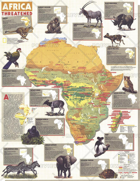 Africa Threatened - Published 1990 by National Geographic — historic National Geographic map print