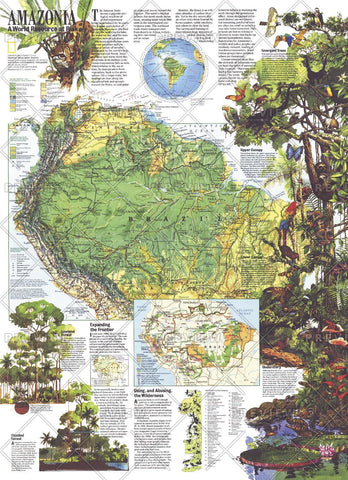 Amazonia, a World Resource At Risk - Published 1992 by National Geographic — historic National Geographic map print
