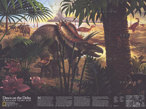 Dawn on the Delta - Published 1993 wall map – National Geographic | Mapworld