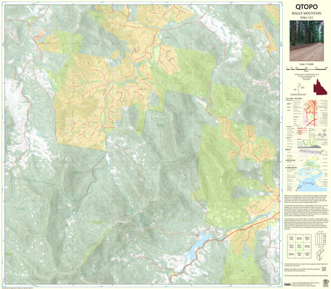 9541-131 Bally Mountain QTopo 1:10,000 Topographic Map