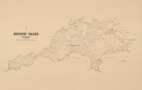 Rottnest Island : “Wadjemup” — Daisy Bates Special Map (1929) — map