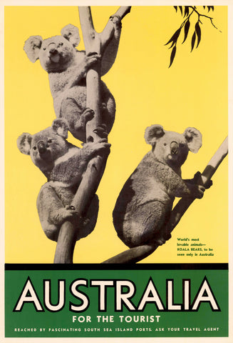 TRAVEL POSTER - Lovable Koalas