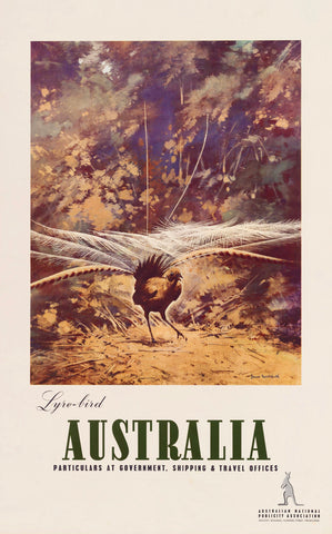 TRAVEL POSTER - Lyre Bird Vintage Poster